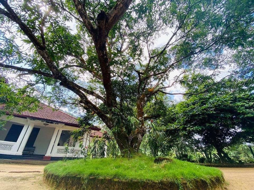 Randiyaepiliyagoda Resort Avissawella Exterior foto
