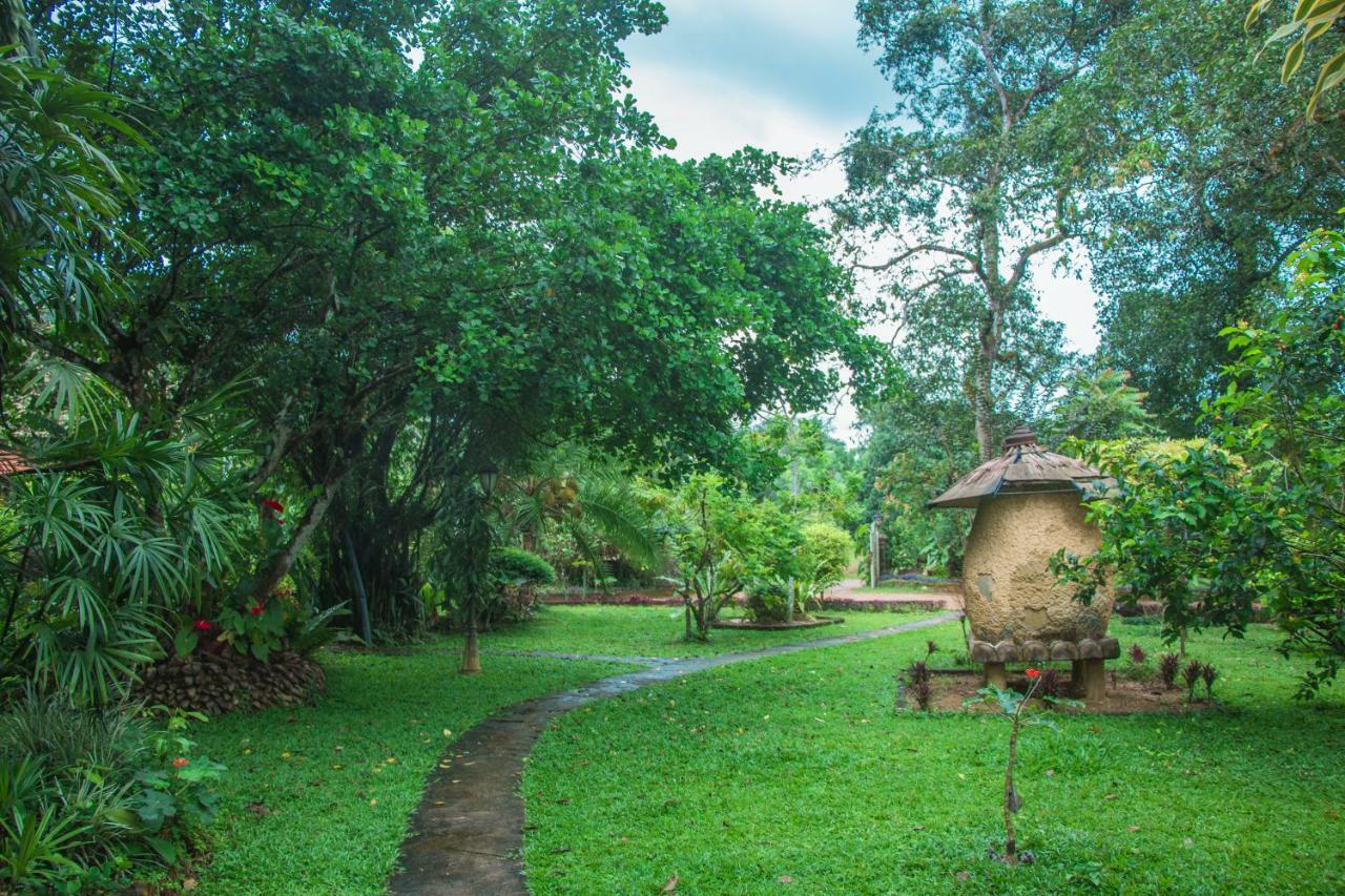 Randiyaepiliyagoda Resort Avissawella Exterior foto